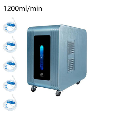 High Purity Hydrogen Water Generator Quiet Hydrogen Inhalation Machine O2 HHO Double Outlet Hydrogen Water Device 1200ML 1800ML 1200ML PER MIN CHINA 110V-240V