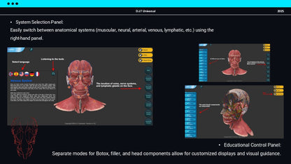 3D Web Application for Botox and Filler