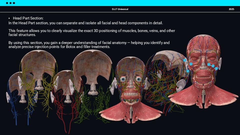 3D Web Application for Botox and Filler