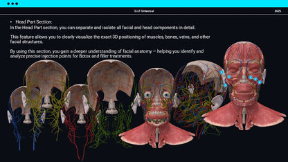 3D Web Application for Botox and Filler